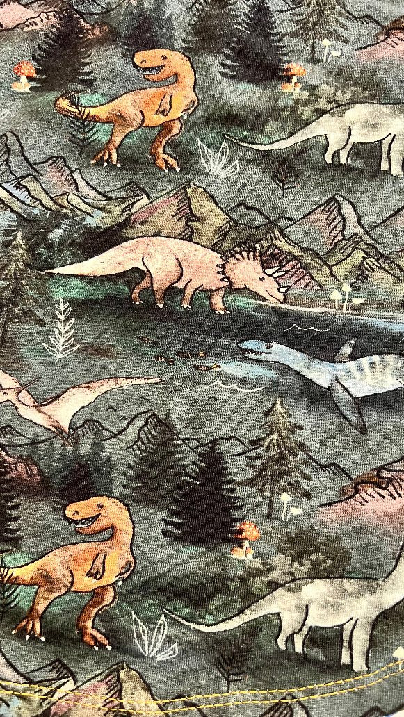 Mountain Dinos Twirl Skirt